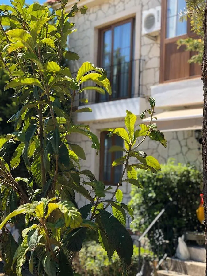 Bizim Ev Otel Alacati Σμύρνη 0*,  Τουρκία