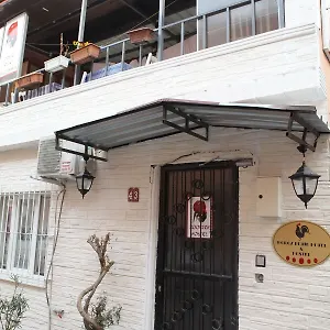  Hostel Rooster